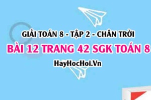 Bài 12 trang 42 Toán 8 Tập 2 Chân trời sáng tạo